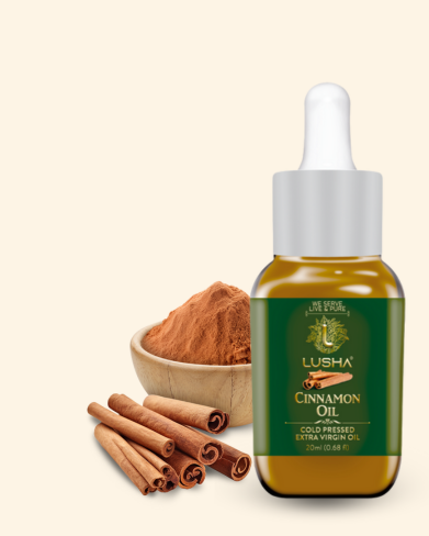 <b><strong>Lusha Cinnamon Oil – Pure Warmth for Digestion, Circulation & Immunity</b></strong>
