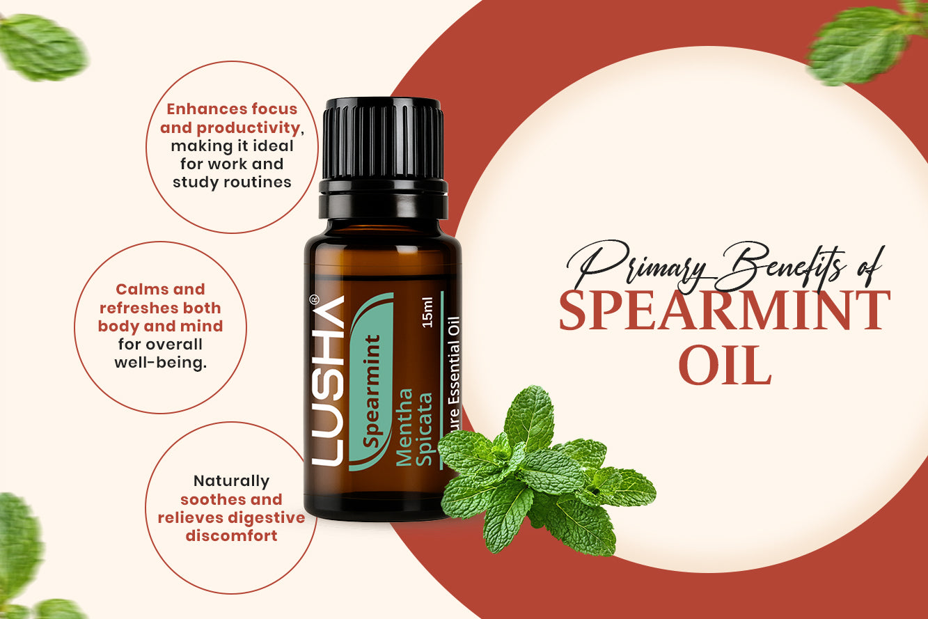 Spearmint Essential Oil benefits image