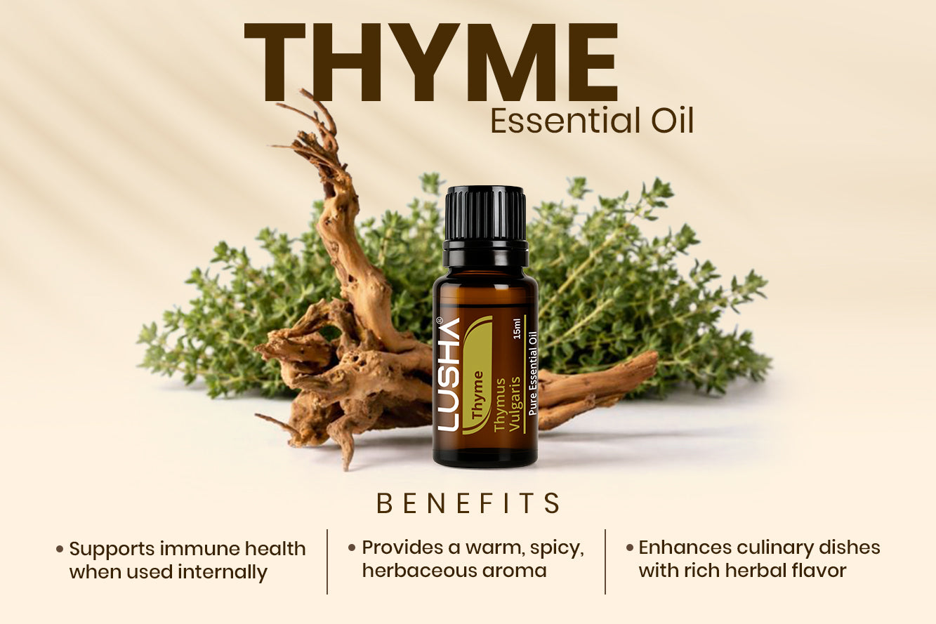 Thyme Essential Oil benefits image