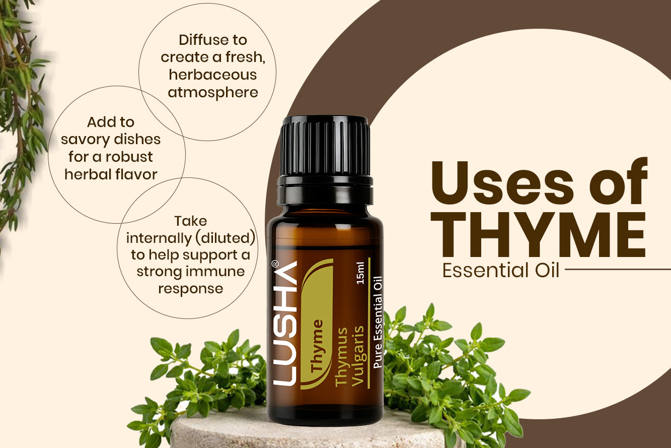 Thyme Essential Oil uses image