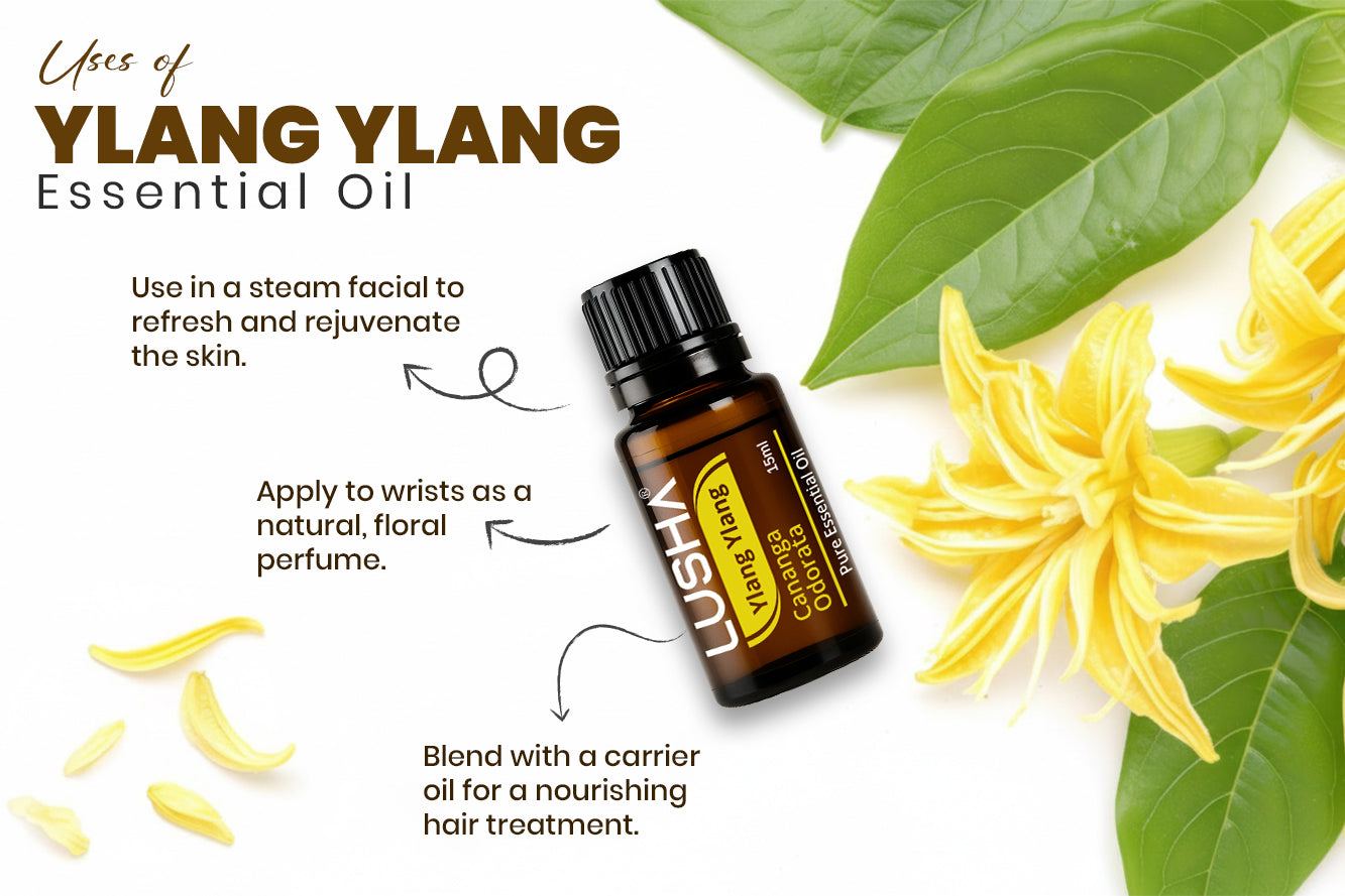 Ylang Ylang uses image