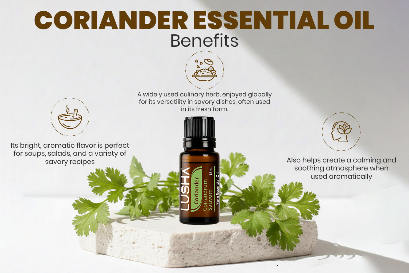 Coriander Essential Oil benefits image