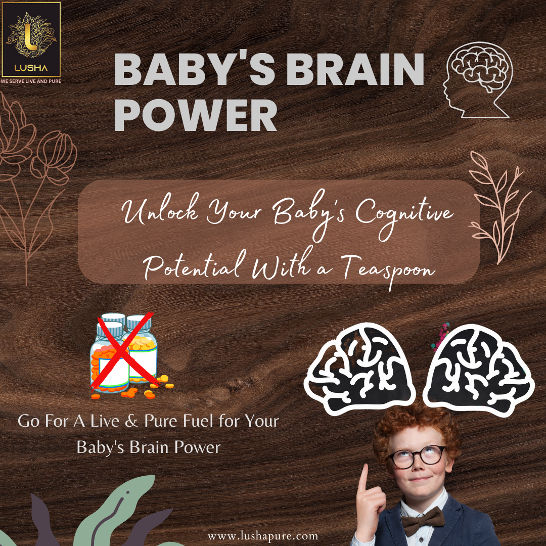 <b><strong>Brain Bloom - Lusha Cold Pressed Walnut Oil</b></strong>