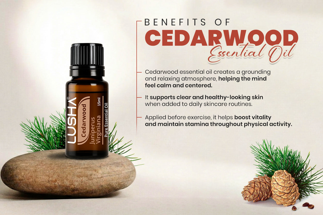 Cedarwood Essential Oil benefits image