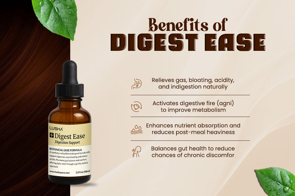 Digest Ease – Digestion Support benefits image