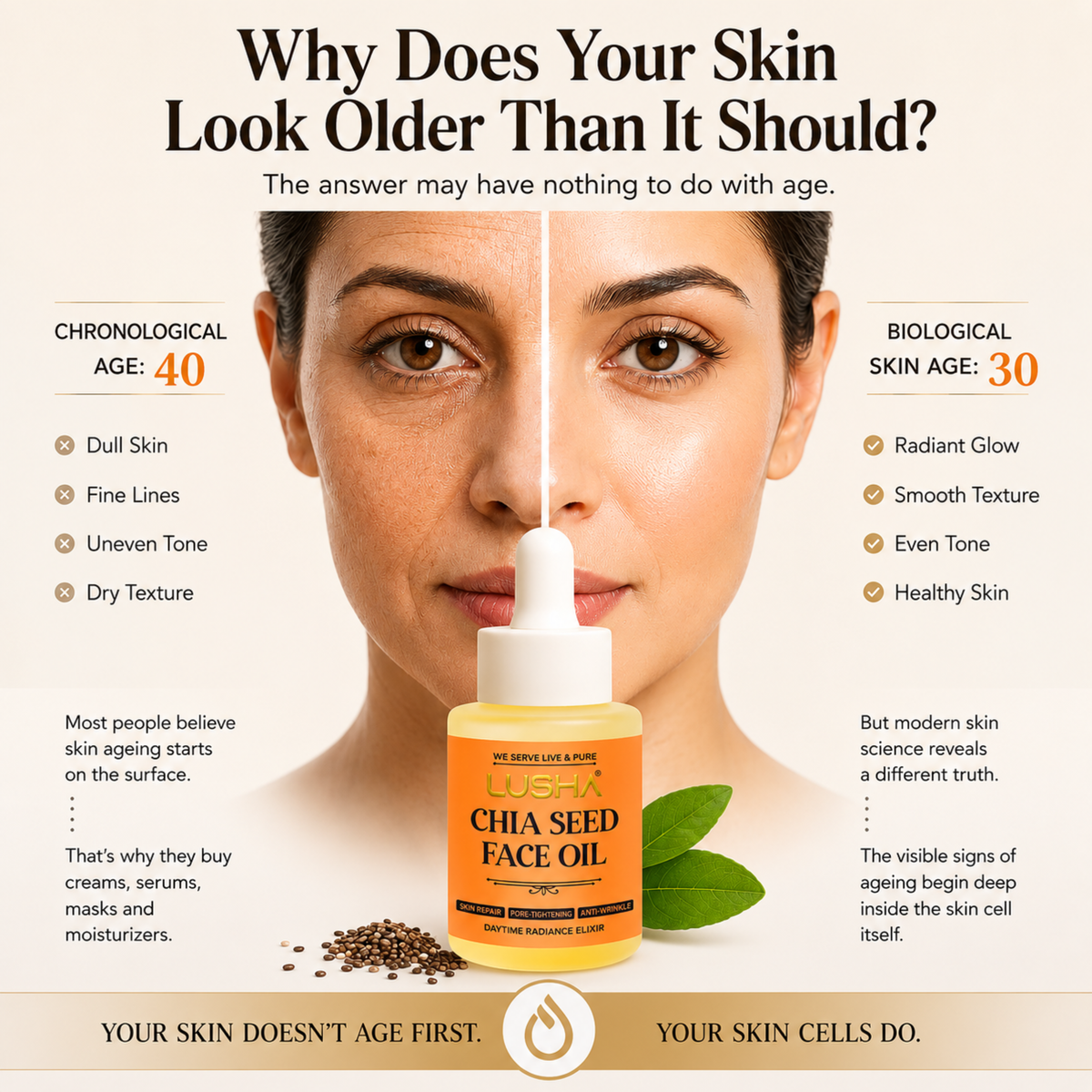 White Chia Seed face Oil: Daily Nourishing oil(supports omega-3 nourishment, calms skin, ideal for daily use)
