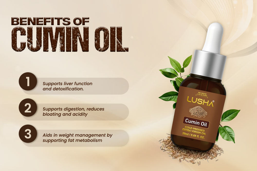 Cumin Seed Oil benefits image