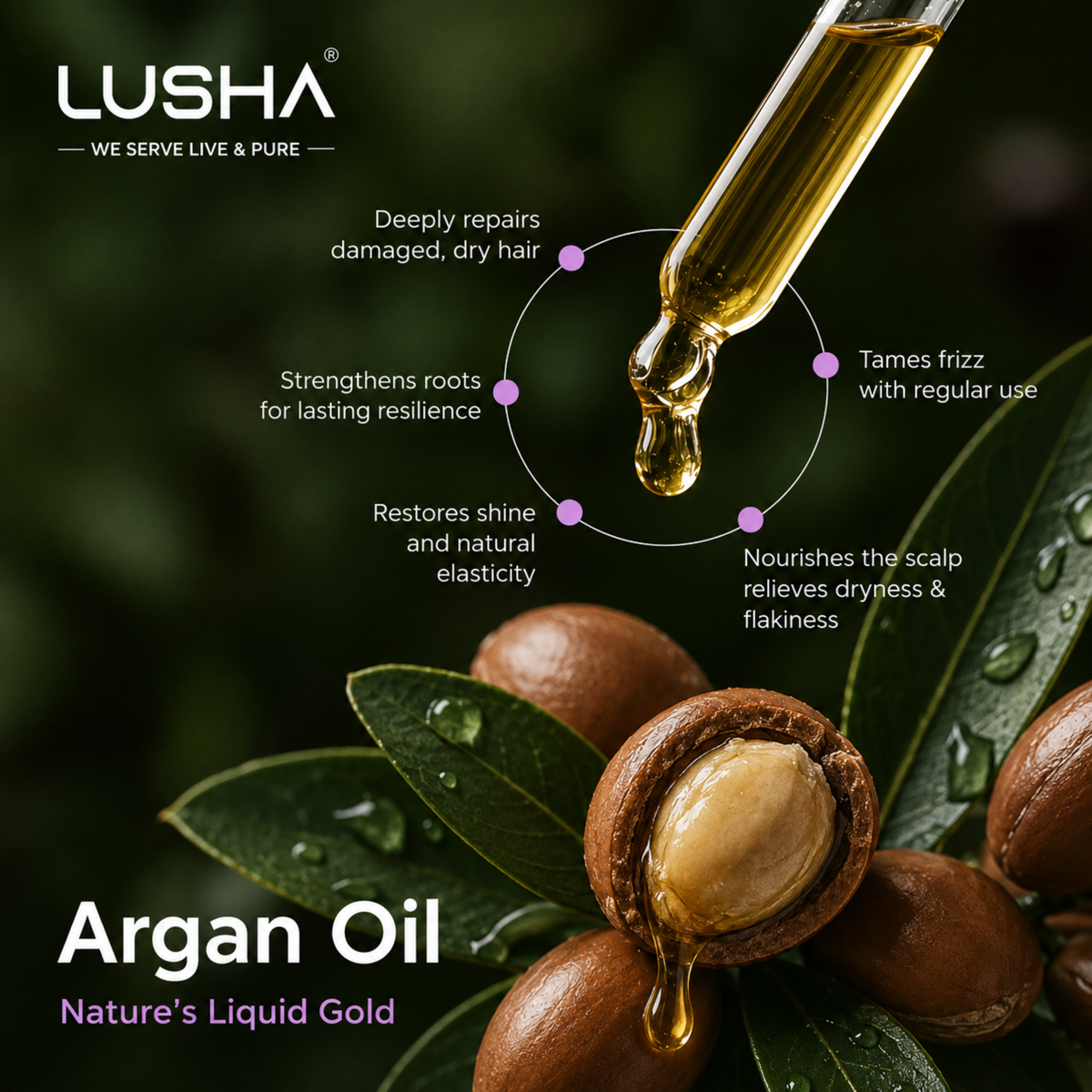 Argan Oil - Deep Moisture & Strengthening Oil (nourishes hair, skin & nails)