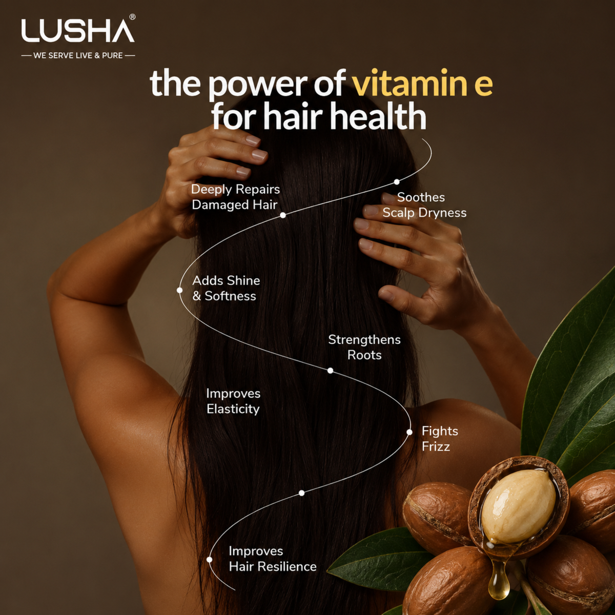 Argan Oil - Deep Moisture & Strengthening Oil (nourishes hair, skin & nails)