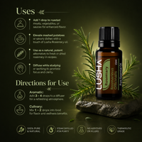Rosemary Essential Oil