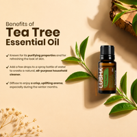 Tea Tree Essential Oil