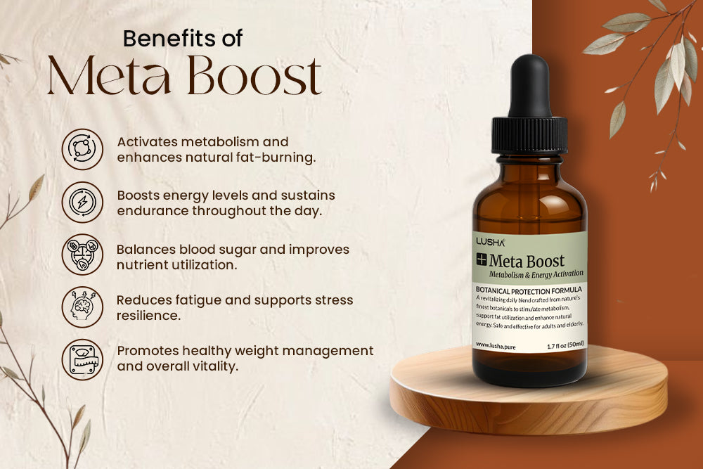 Meta Boost - Metabolism & Energy Activation benefits image