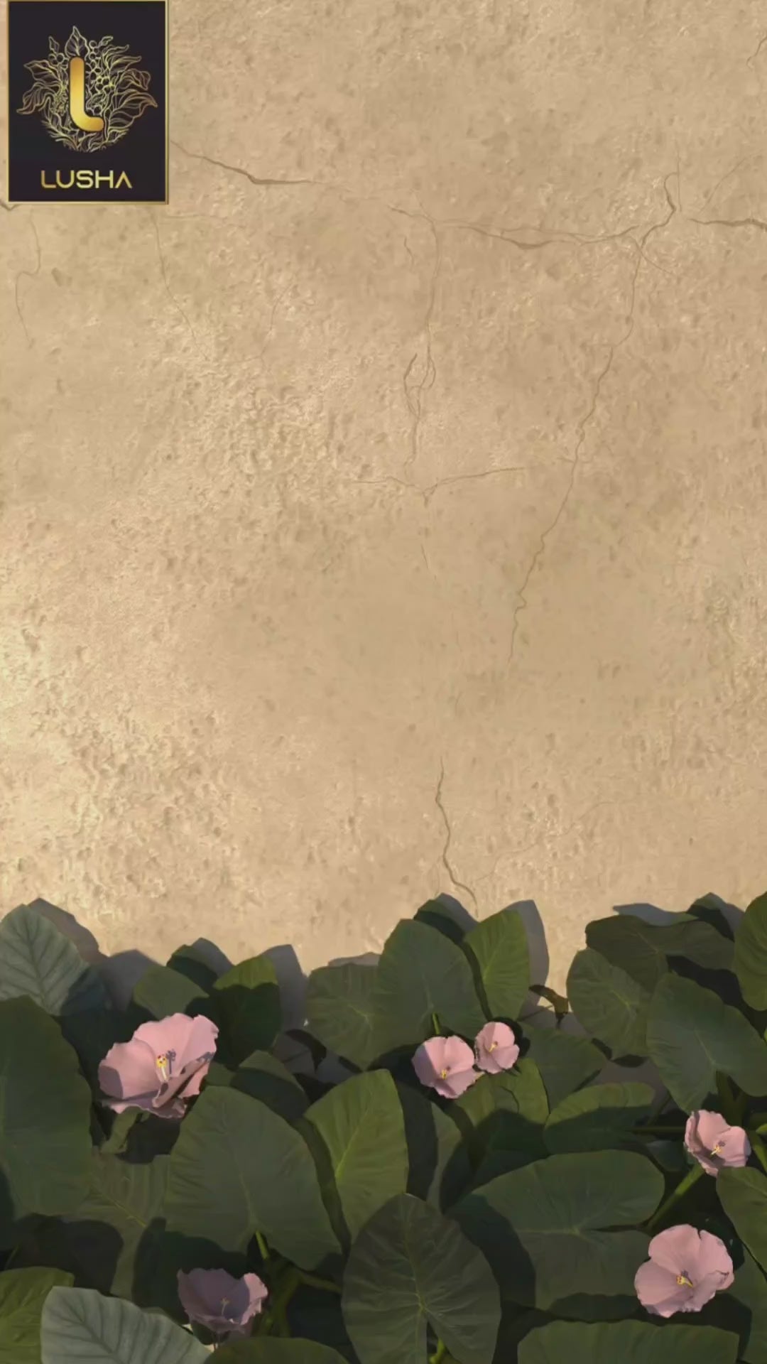 <b><strong>Lusha Cinnamon Oil – Pure Warmth for Digestion, Circulation & Immunity</b></strong>