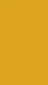 TEST Lusha Cold-Pressed Mustard Oil – Pure, Authentic, and Heart-Healthy Cooking Oil (Copy)