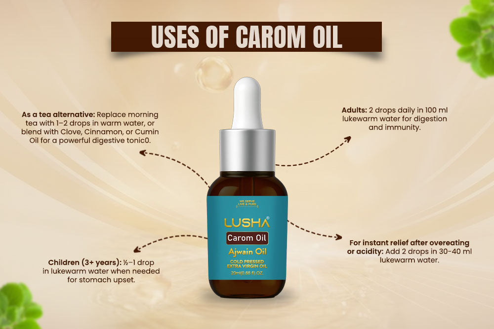 Gut Flame - Lusha Carom Seed Oil uses image