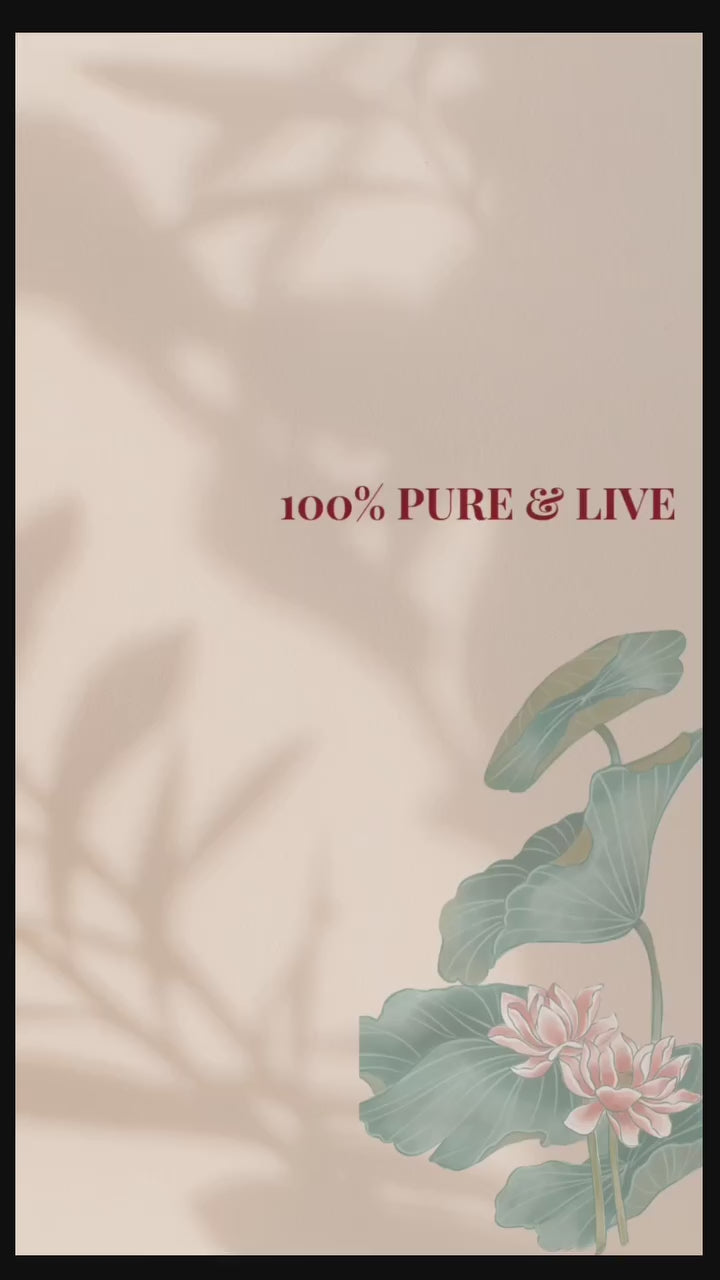 <b><strong>Brain Bloom - Lusha Cold Pressed Walnut Oil</b></strong>